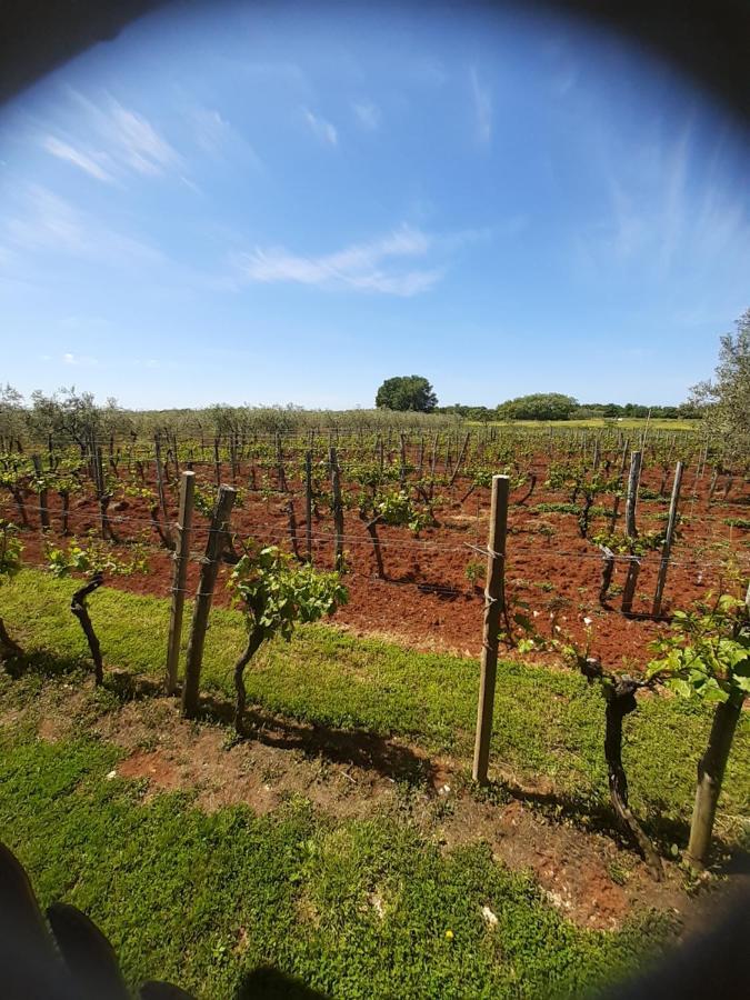 And Hacienda Stelio * Poreč